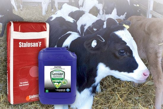 Calf Shed Hygiene - Keeping it clean